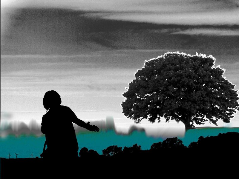 Silhouette of person with tree