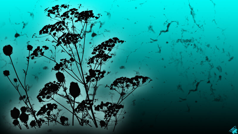 silhouette of plants on teal background