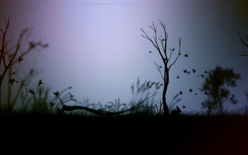 Silhouette of Rabbit in Field