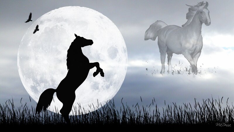 Silhouette of Rearing Horse — Black, Dramatic