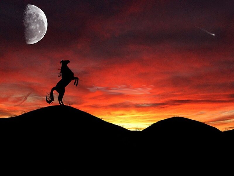 Silhouette of Rearing Horse — Red