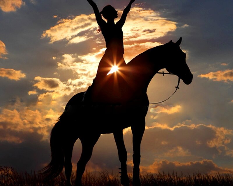 Silhouette of Rider and Horse — Orange, Dramatic, Sunset