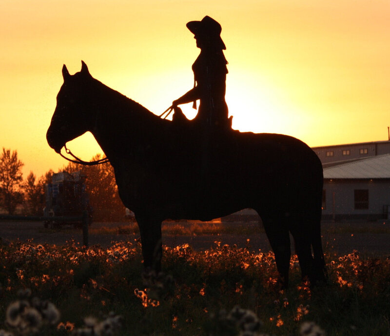 Silhouette of Rider and Horse — Orange