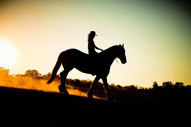 Silhouette of Rider and Horse — Yellow