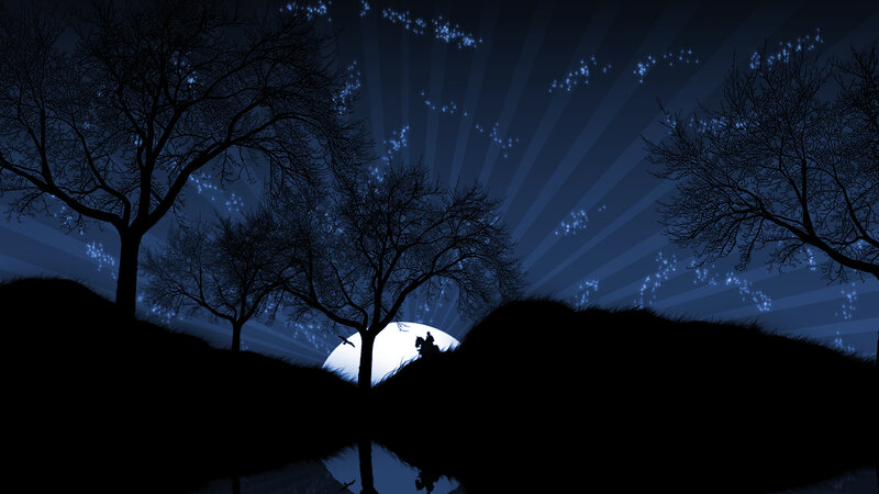 Silhouette of rider at night
