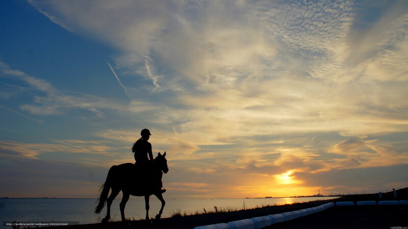 Silhouette of rider at sunset