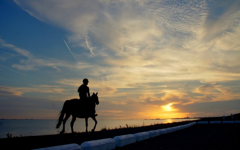 Silhouette of rider at sunset