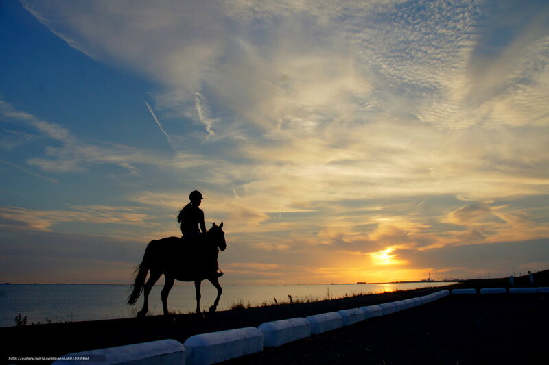 Silhouette of rider at sunset