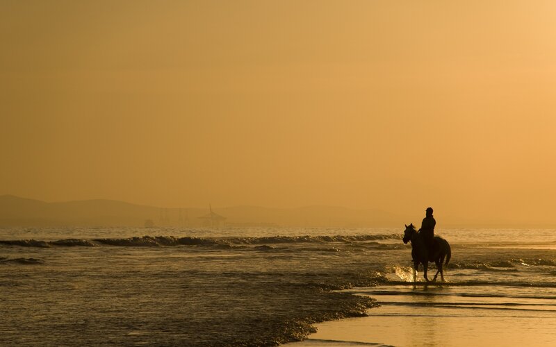 Silhouette of rider on beach