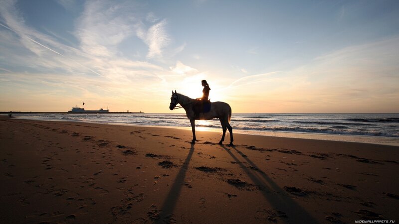 Silhouette of rider on beach