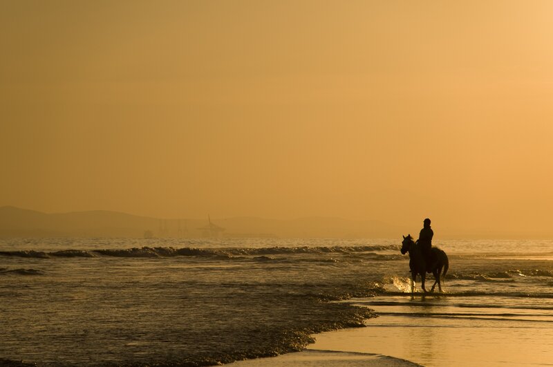 Silhouette of rider on beach