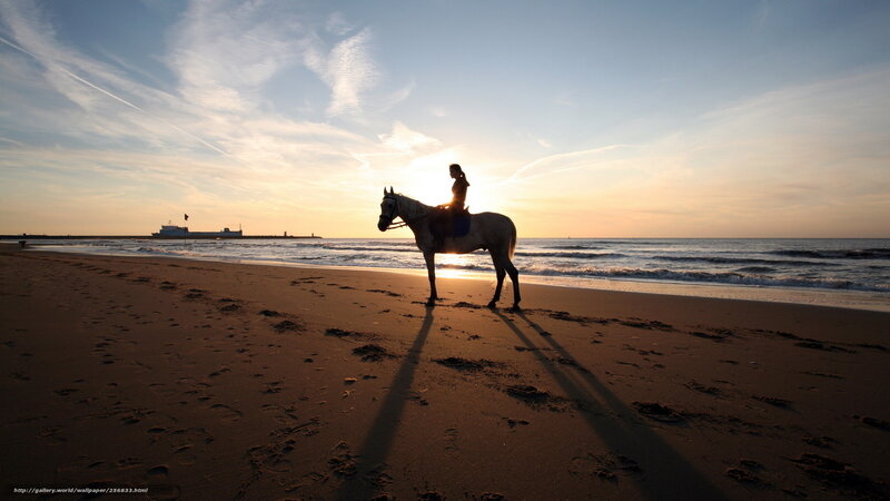 Silhouette of rider on beach