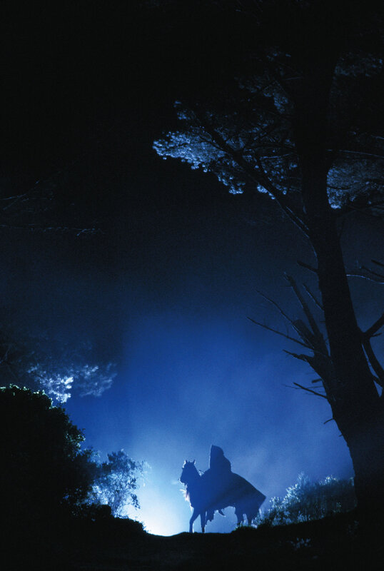 Silhouette of rider on horse at night