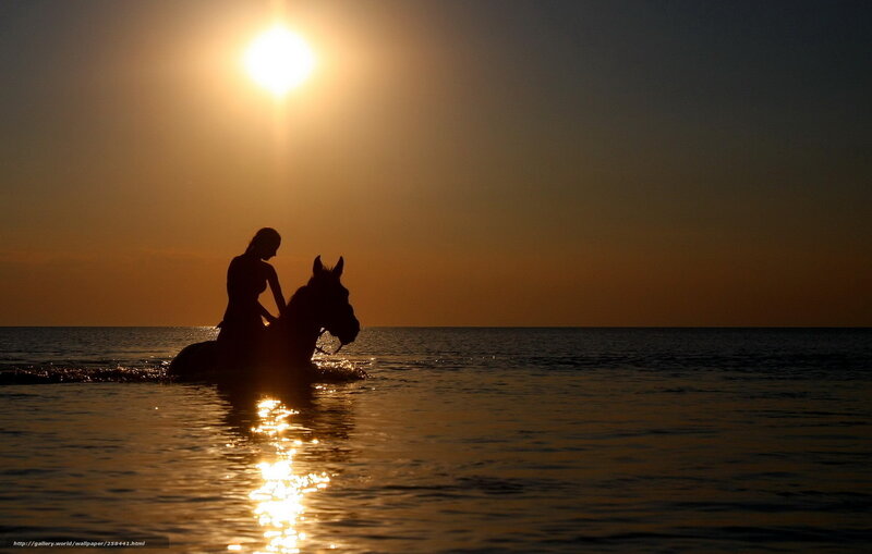 Silhouette of rider on horse at sunset