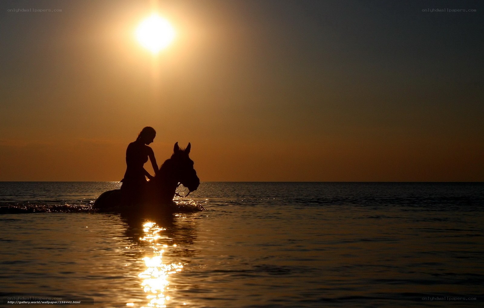 Silhouette of rider on horse at sunset