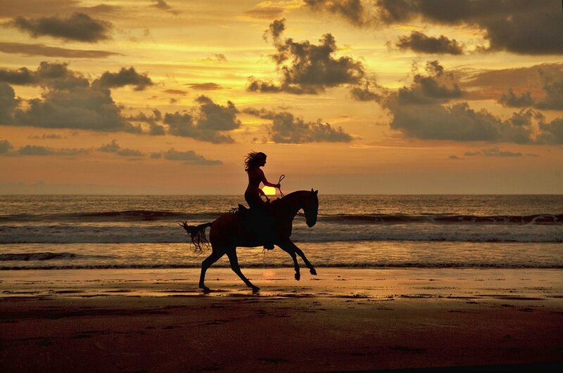 Silhouette of rider on horse at sunset