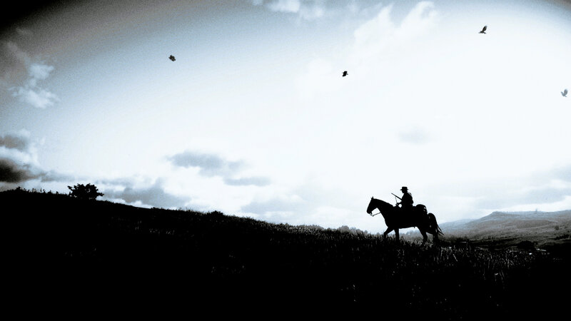 Silhouette of Rider on Horse — Black, Dramatic, Afternoon