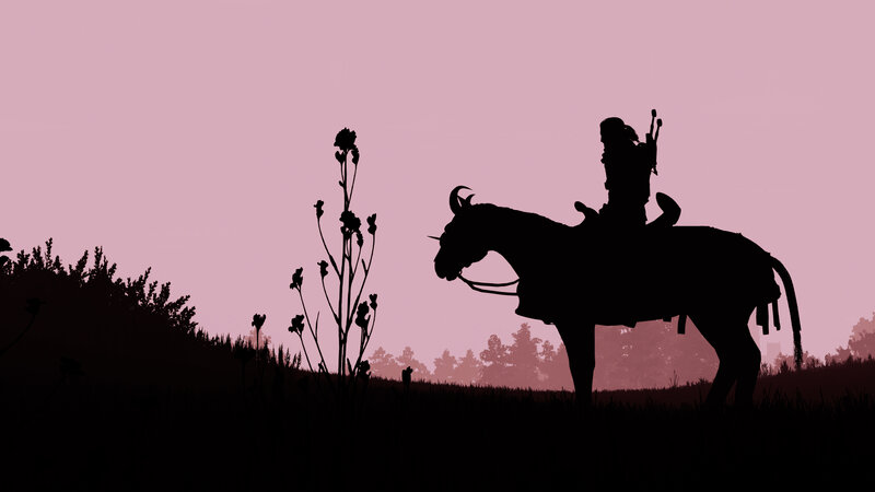 Silhouette of Rider on Horse — Black, Serene, Sunset