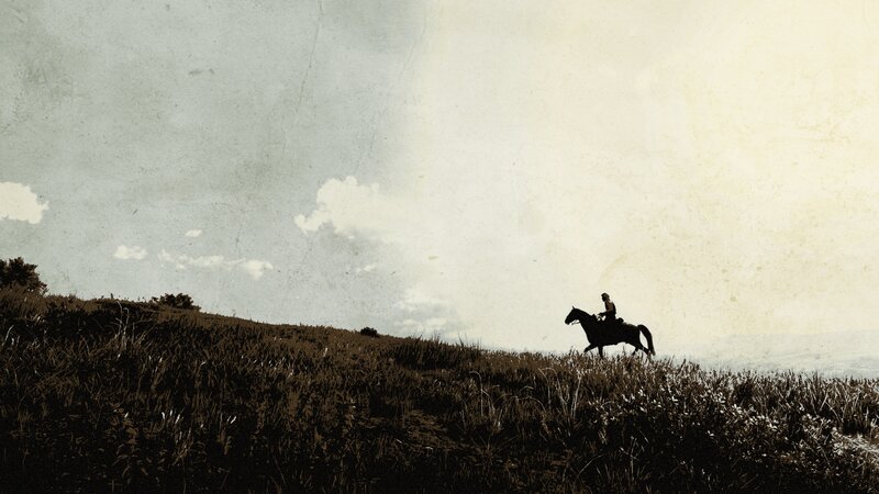 Silhouette of Rider on Horse — Brown, Serene