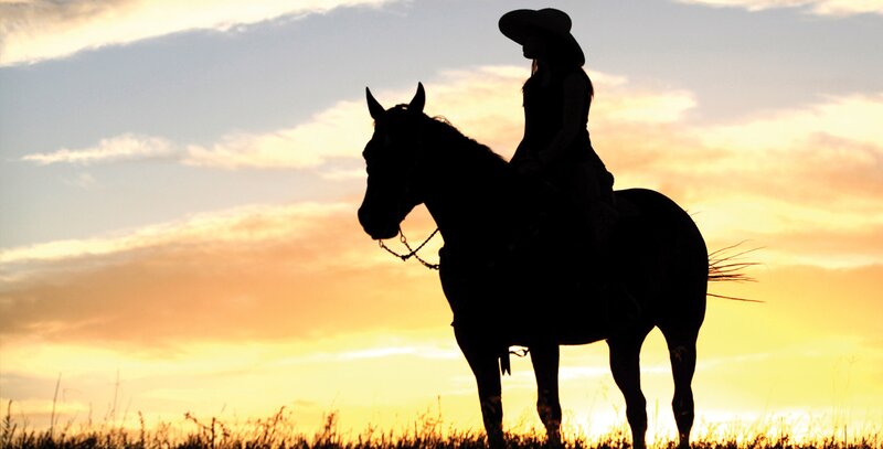 Silhouette of Rider on Horse — Orange, Serene, Sunset