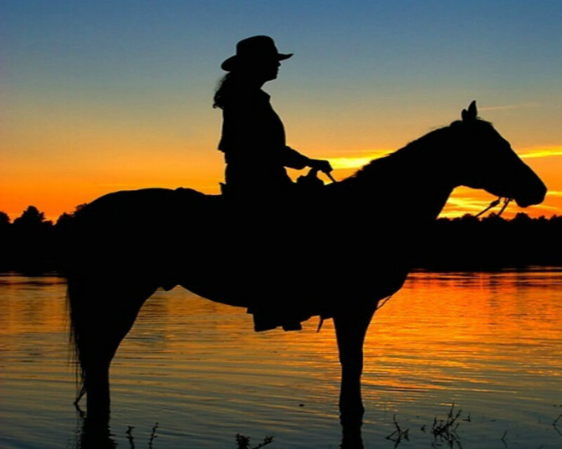 Silhouette of Rider on Horse — Orange, Serene