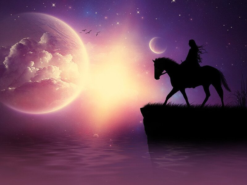 Silhouette of Rider on Horse — Purple, Serene
