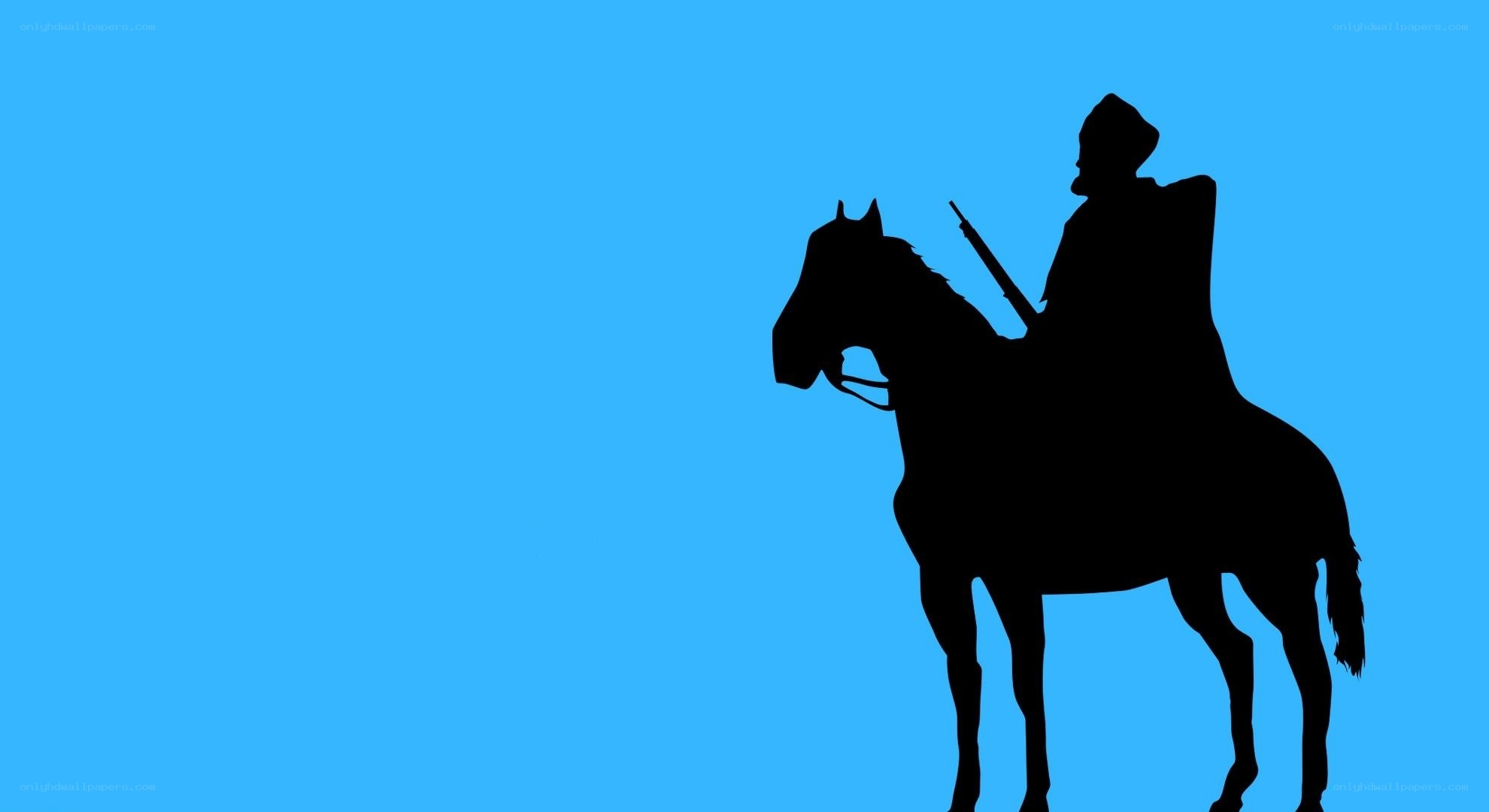 silhouette of rider on horse