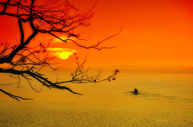 Silhouette of Rowers