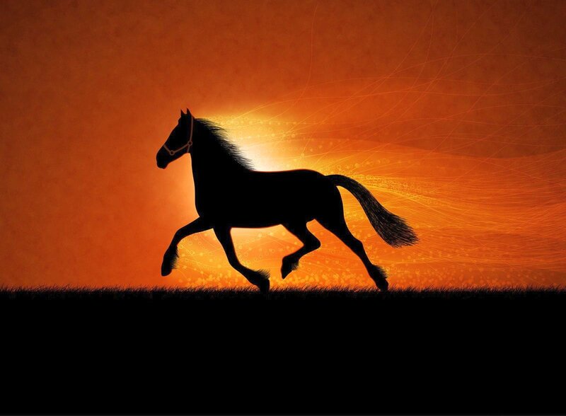 Silhouette of Running Horse