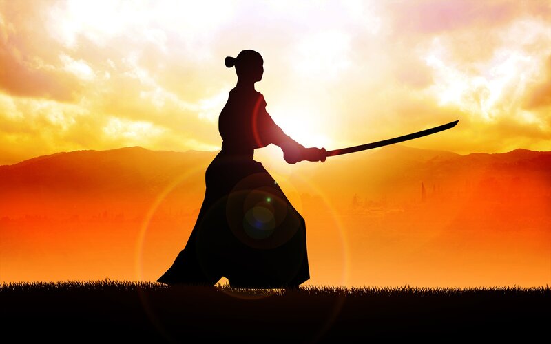 Silhouette of Samurai — Orange, Dramatic