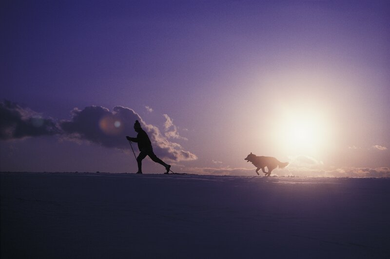 Silhouette of skier and dog at sunset