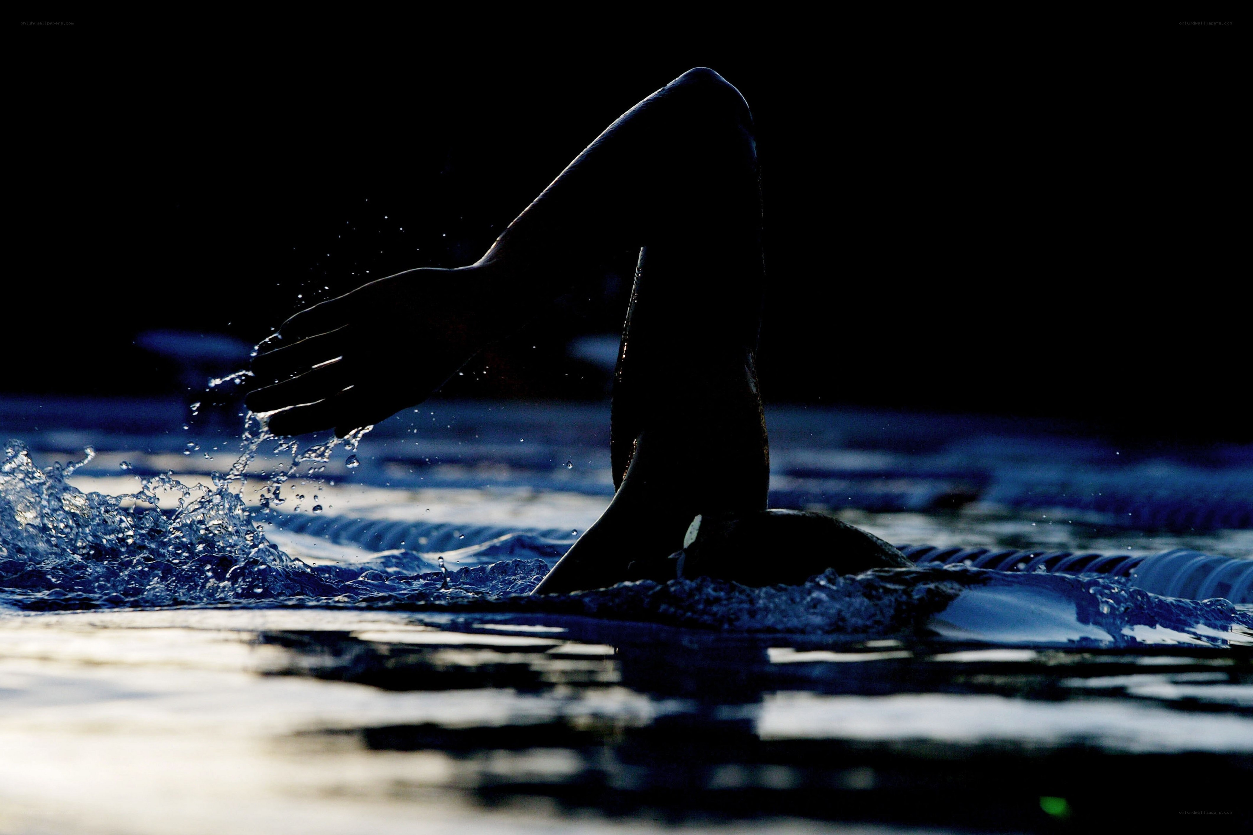 silhouette of swimmer in pool