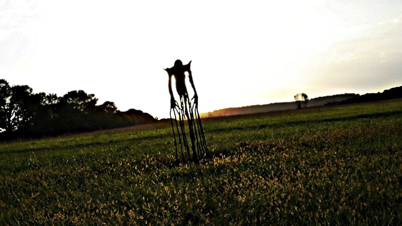 Silhouette of Tall Figure