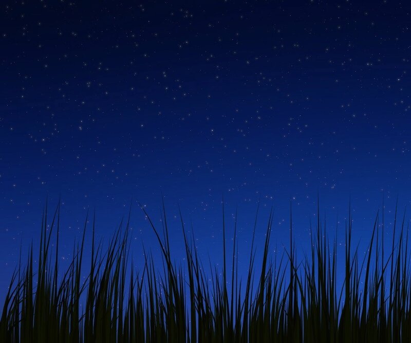 Silhouette of Tall Grass — Blue
