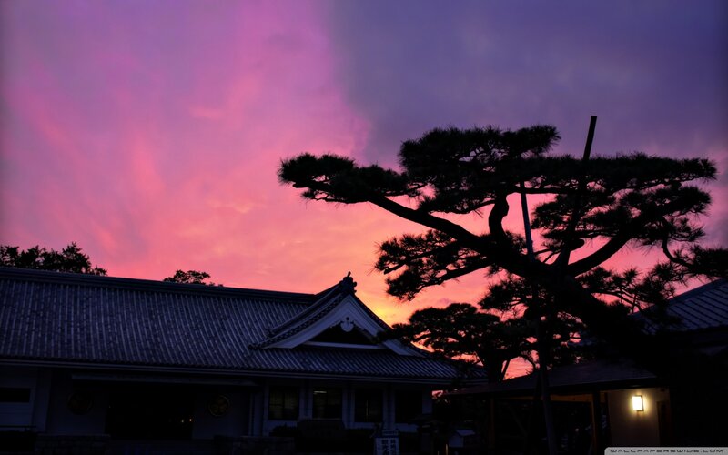 Silhouette of Temple and Tree