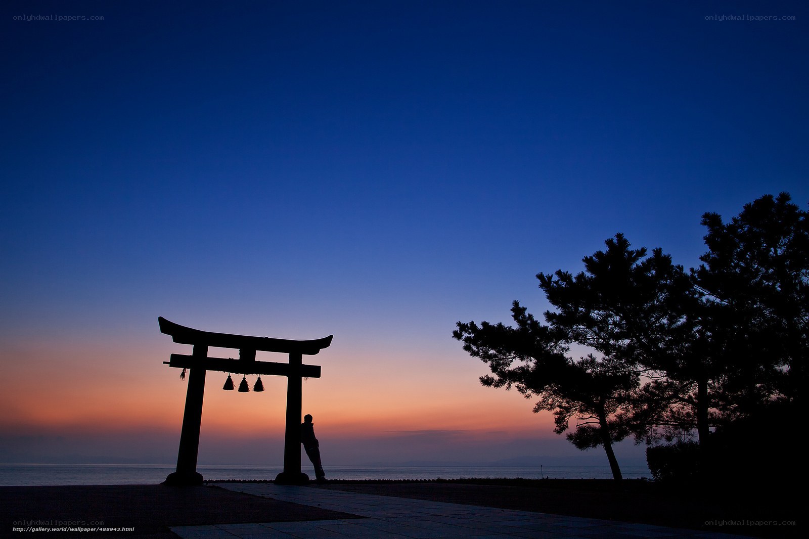 Silhouette of Torii Gate at Sunset