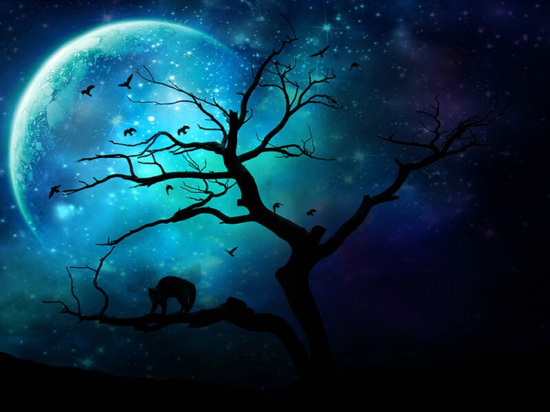Silhouette of Tree and Animal