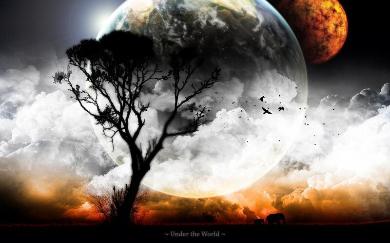 Silhouette of Tree and Animals