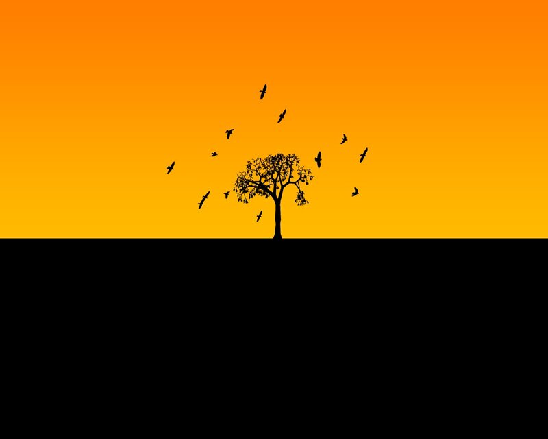 silhouette of tree and birds at sunset