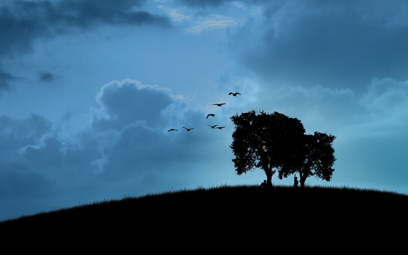 Silhouette of Tree and Birds — Blue, Dramatic, Night, Digital Art, Hill