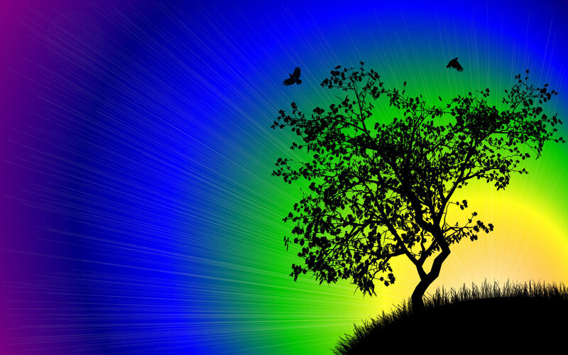 Silhouette of Tree and Birds — Blue