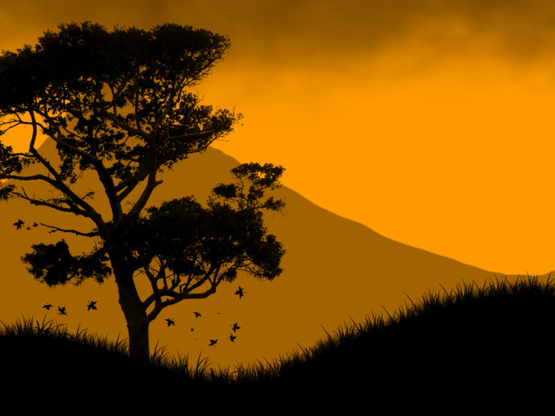 Silhouette of Tree and Birds — Orange, Dramatic, Sunset, Digital Art, Mountain
