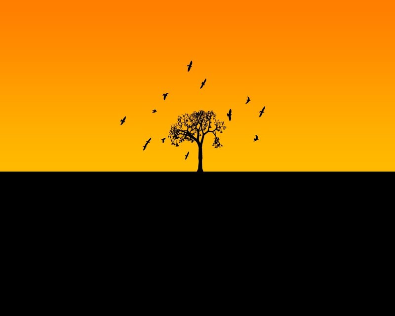 Silhouette of Tree and Birds — Orange, Serene, Sunset, Minimalist, Sky