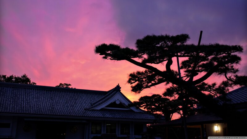 Silhouette of Tree and Building