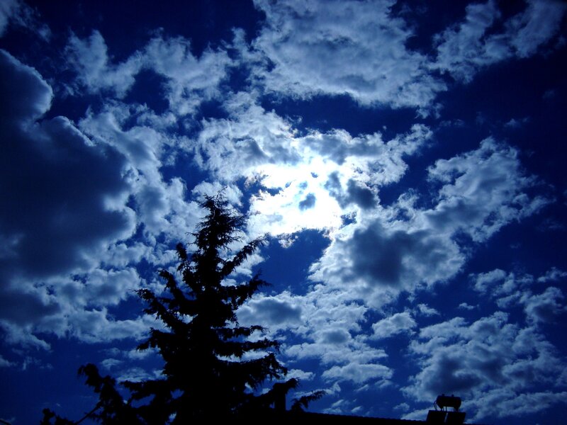 Silhouette of Tree and Clouds