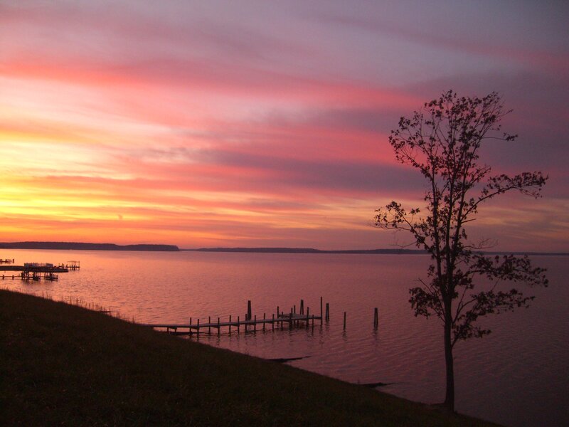 Silhouette of Tree and Dock — Pink