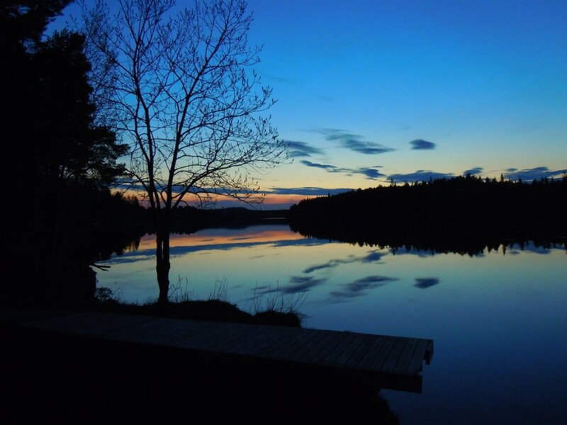 Silhouette of Tree and Dock
