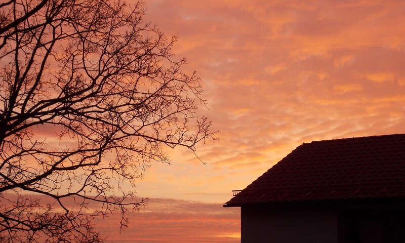 Silhouette of Tree and House