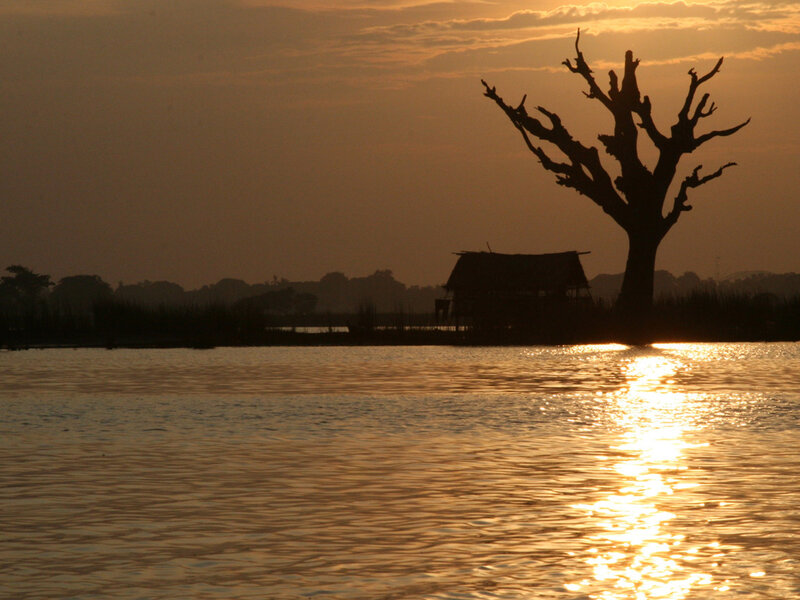 Silhouette of Tree and Hut — Orange