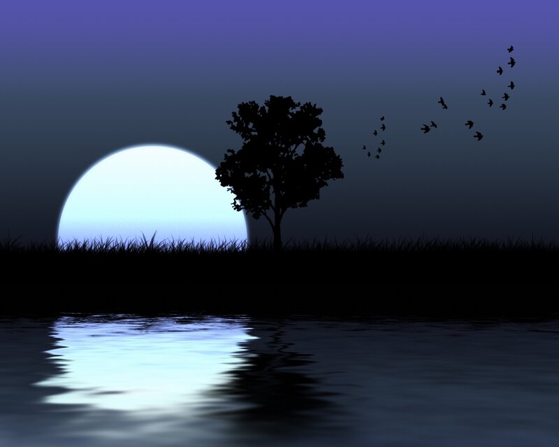 Silhouette of Tree and Moon — Blue, Serene